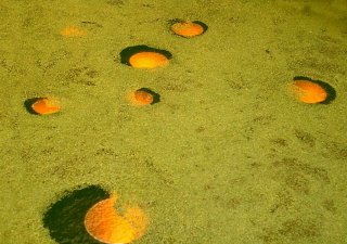 Le puits et les lentilles : une installation lumineuse au Festival des jardins de Chaumont sur Loire